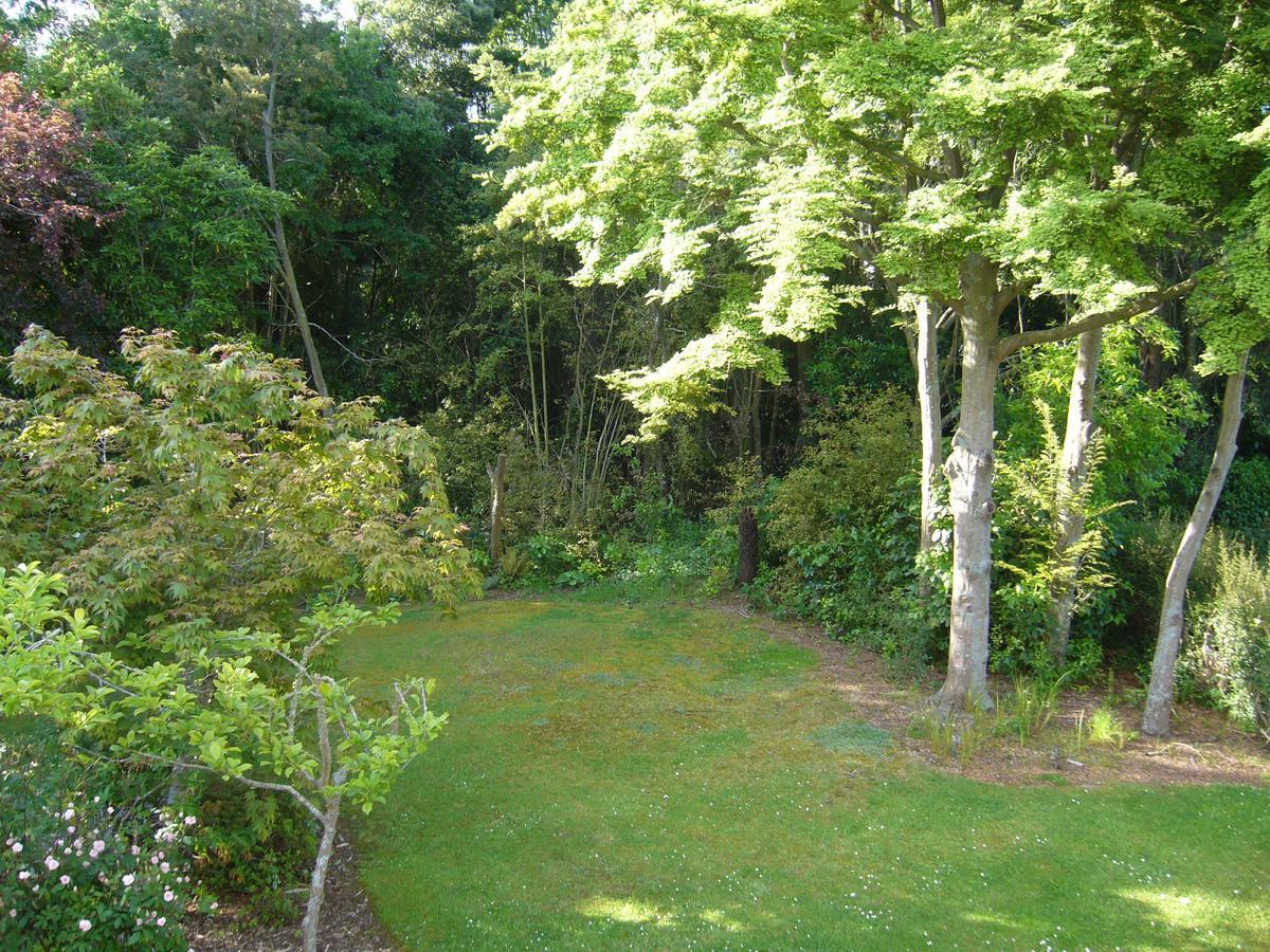 Forest Manor Geraldine Kültér fotó